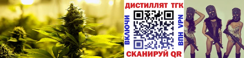 ТГК концентрат Бирюч